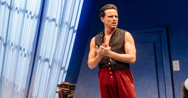 National Theatre in the Cinema