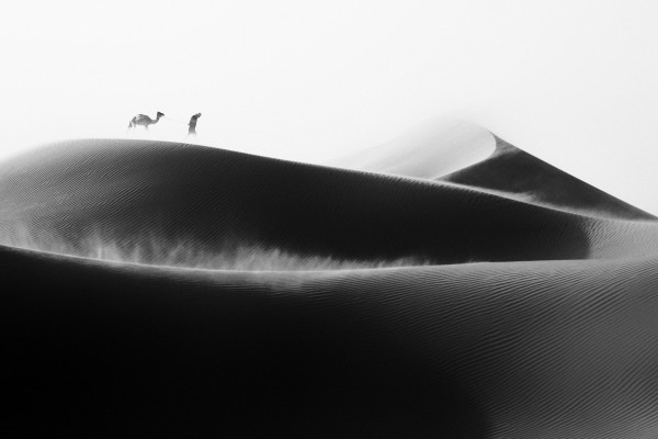 Photography Competition 2020