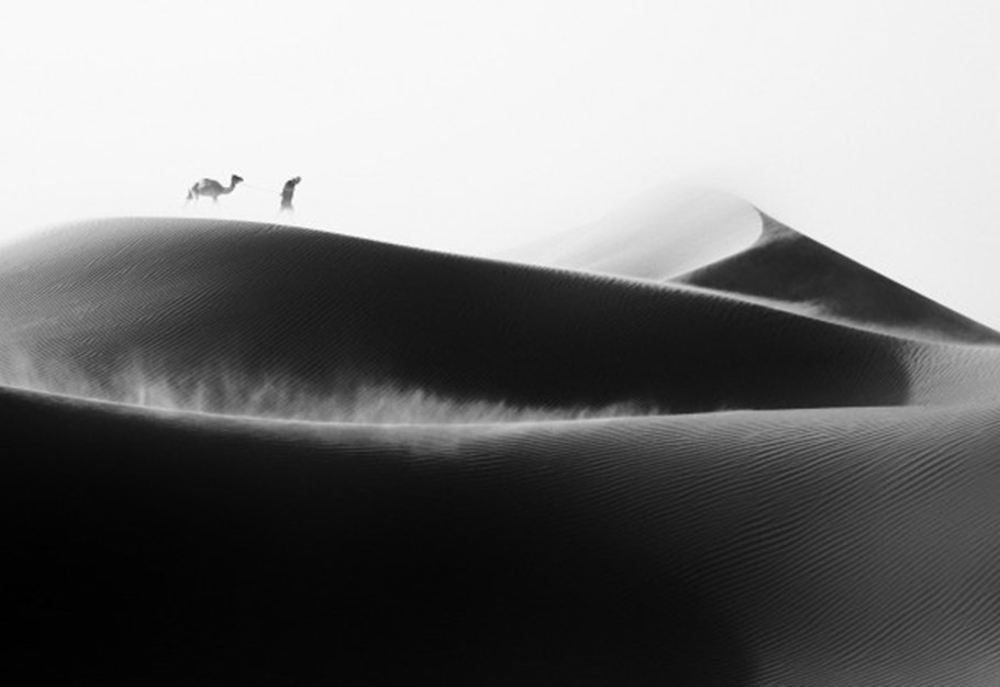 Photography Competition 2020