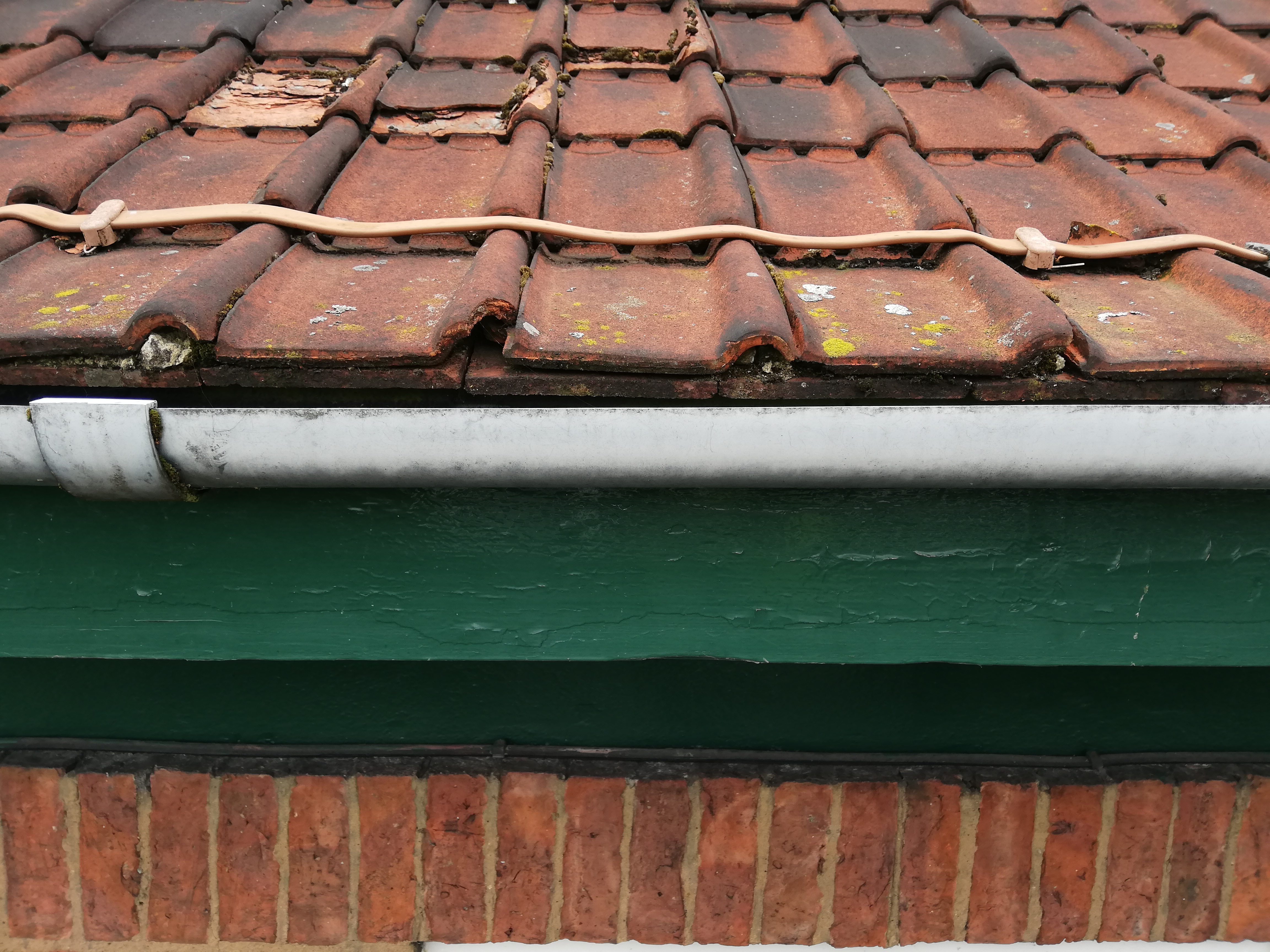 Buy a tile and help save our roof