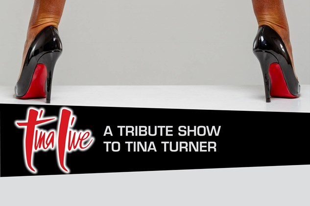 Tina Live - A Tribute Show To Tina Turner