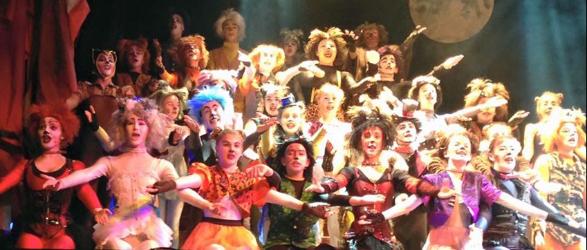 The cast of York Light Youth's Cats production