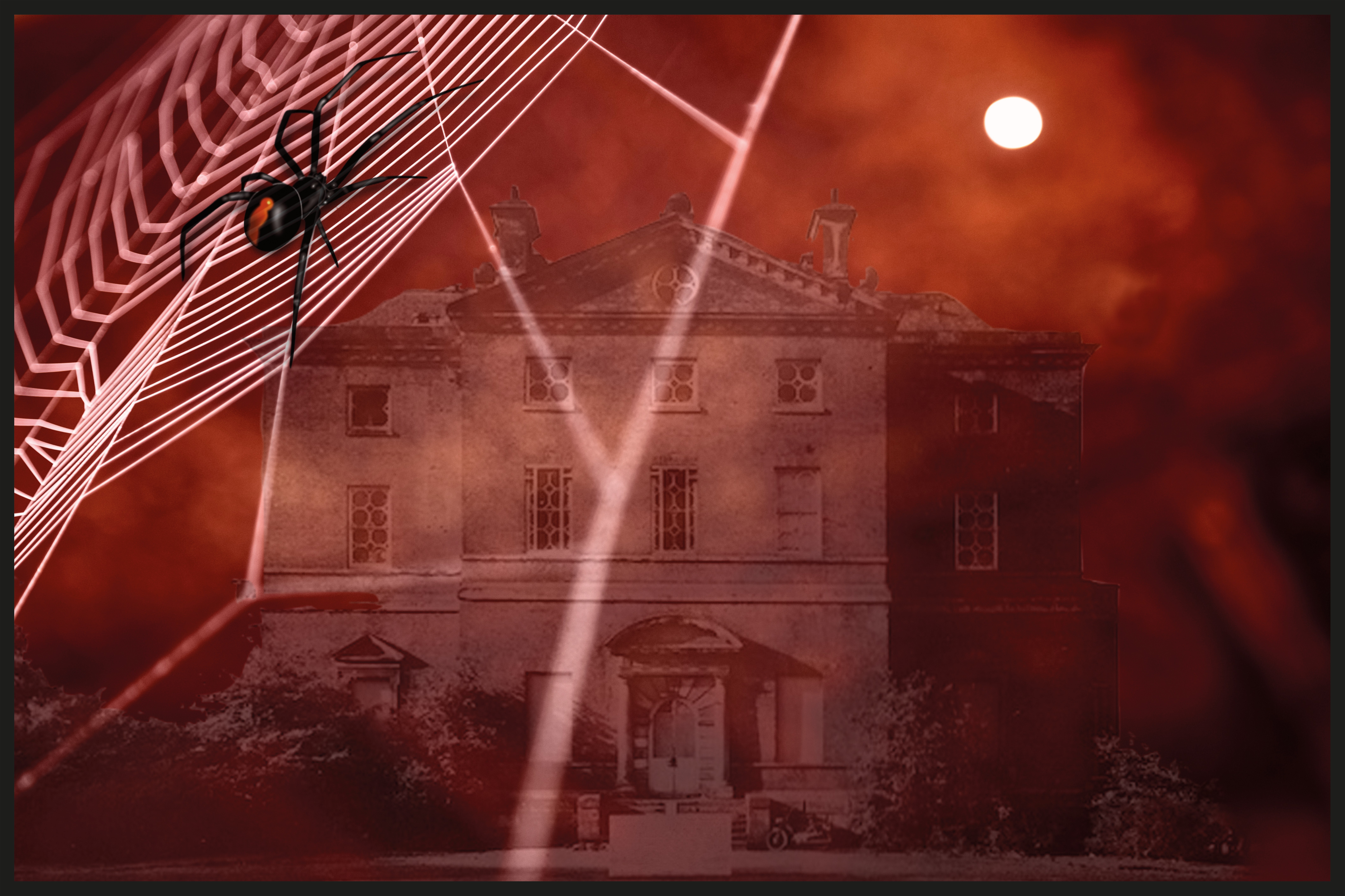 Agatha Christie's Spider's Web