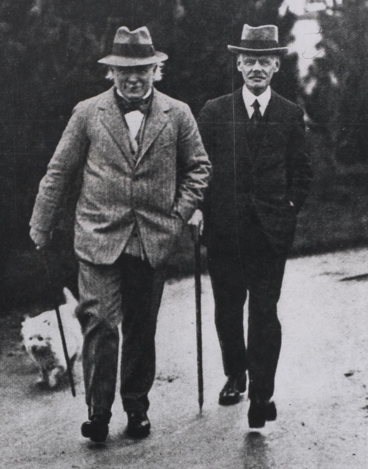 Seebohm's Influence on the arts