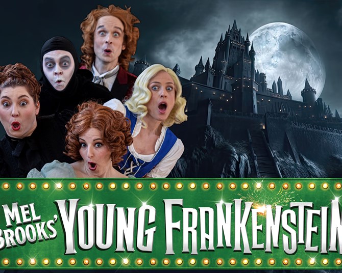 Young Frankenstein 11x17 Movie Poster – Collector's Print – Gene Wilder – New