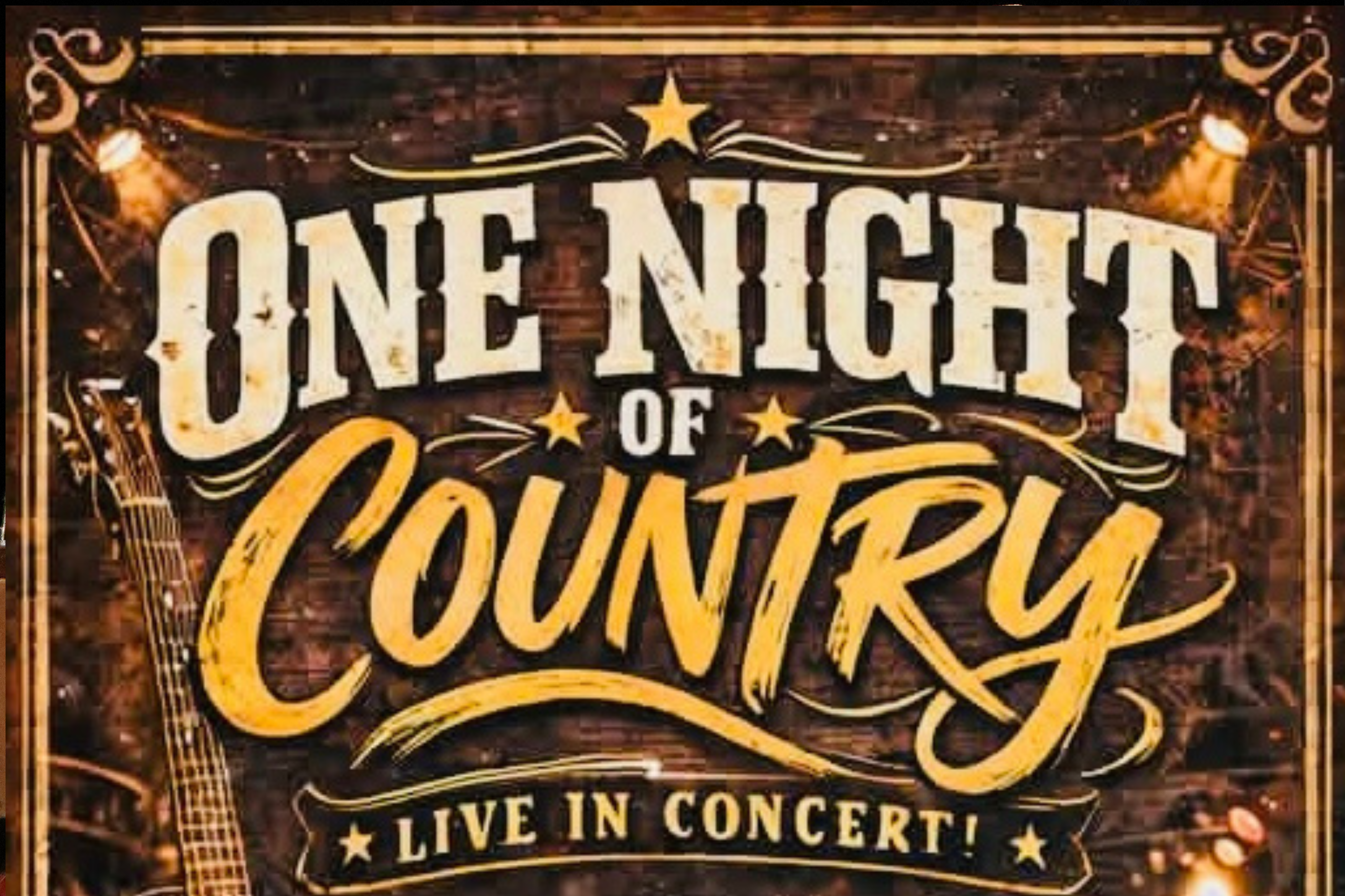 One Night Of Country