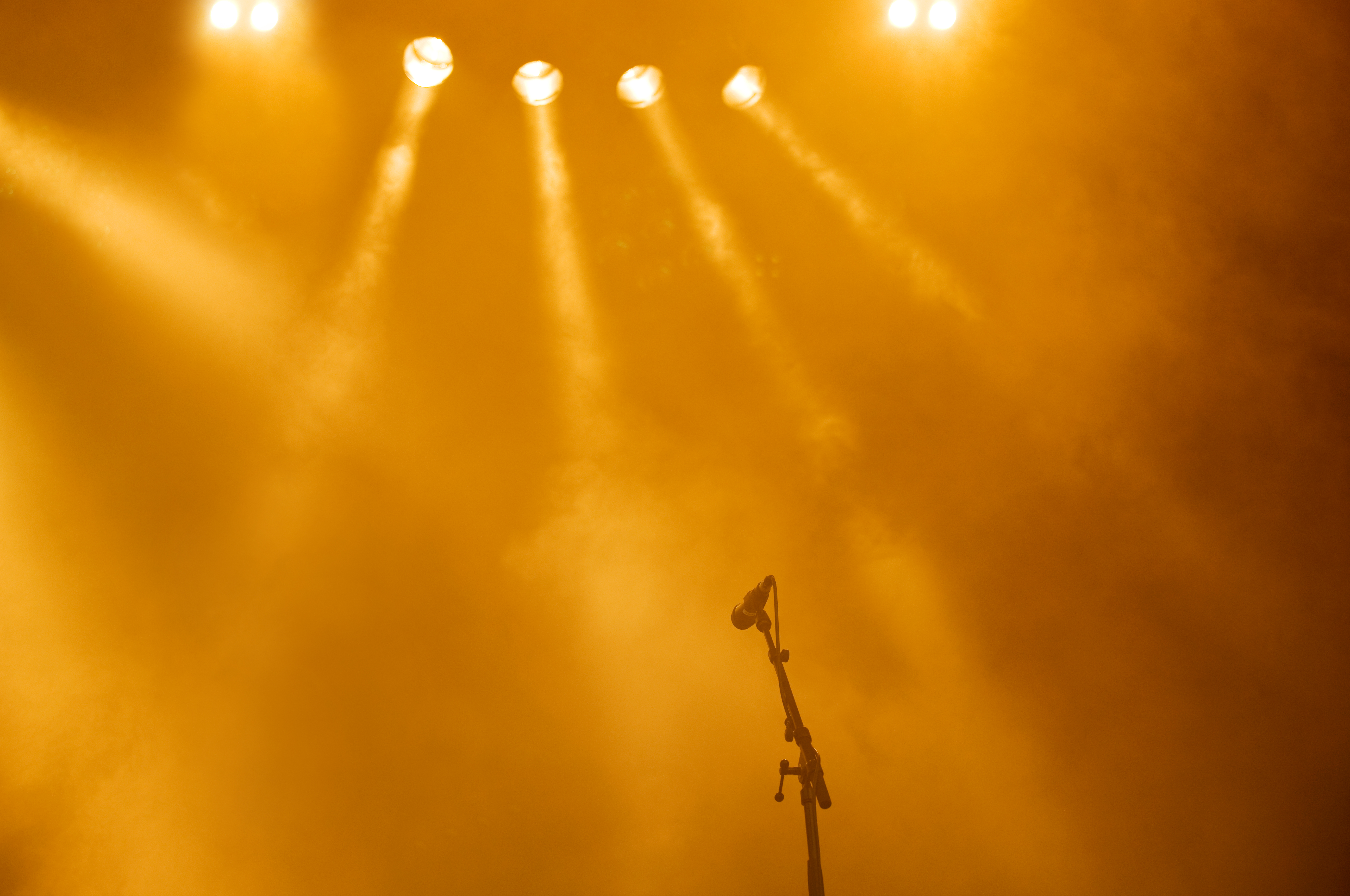 A Musical Extravaganza